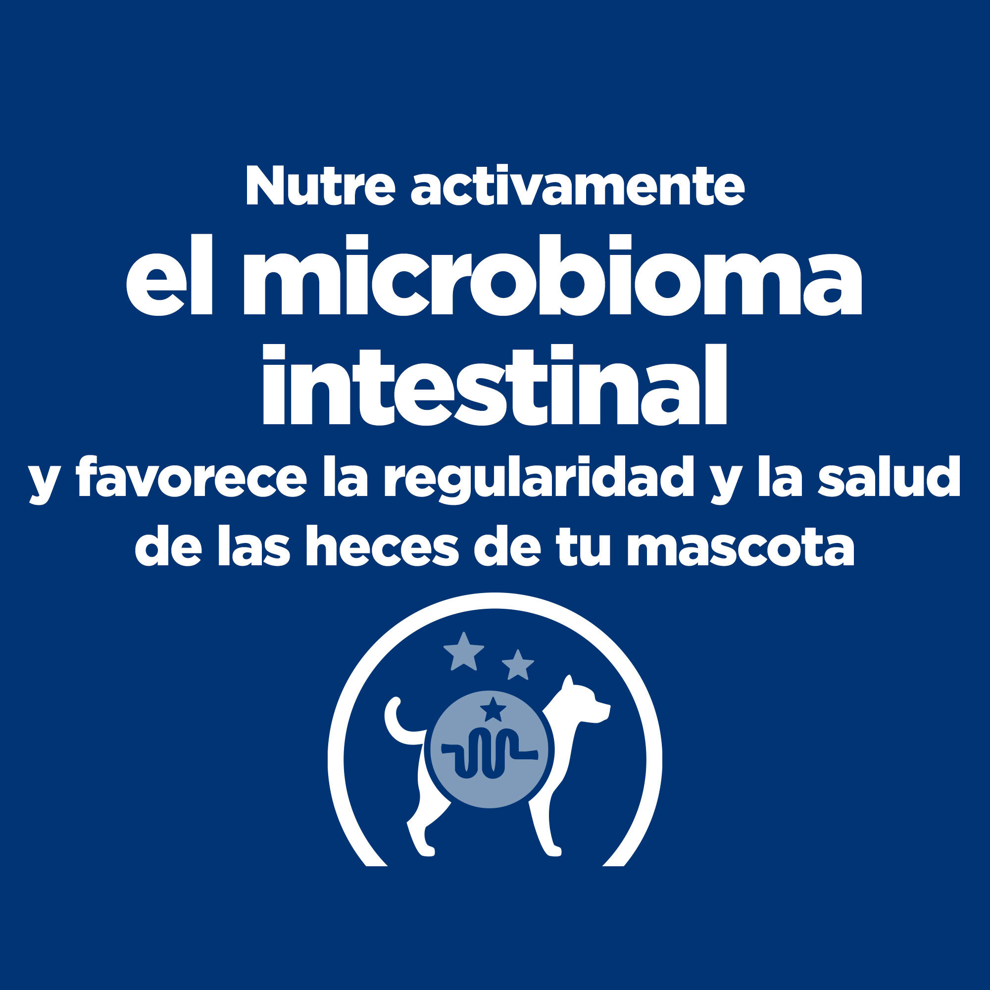 6 kg Hill's Prescription Diet Gastrointestinal Biome ra&ccedil;&atilde;o para c&atilde;es, , large Imagem n&uacute;mero 5